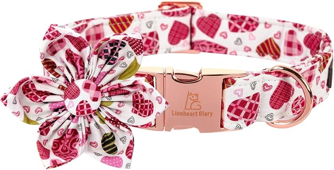 Lionheart Glory Heart Dog Collar, Valentine's Day Dog Collars by LionheartGlory