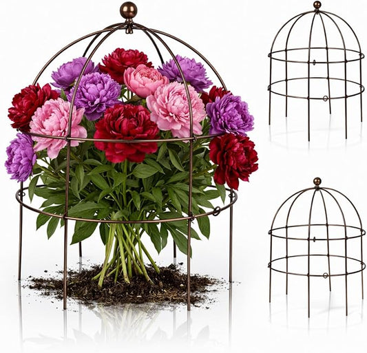 BreezeHug 3 Pack 24 H Peony Cage Climbing Plant Trellis Bird Cage Plant Support by Unknown