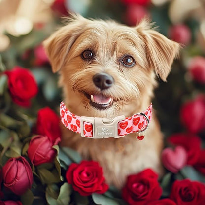 Valentines Dog Collar for Medium Dogs - Image 2