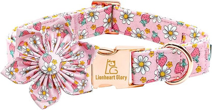 Lionheart glory Dog Collar Flower Collar Pink Dog Collar by LionheartGlory