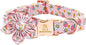 Lionheart glory Dog Collar Flower Collar Pink Dog Collar by LionheartGlory