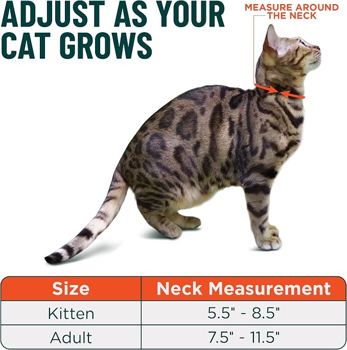 OutdoorBengal Blue Breakaway Kitten Collar - Image 5