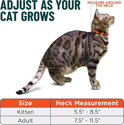 OutdoorBengal Blue Breakaway Kitten Collar - Image 5