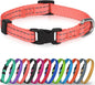 Joytale Small Dog Collar, Reflective and Adjustable Nylon Collar by Joytale
