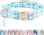 Faygarsle Fish Pattern Dog Collar, Adjustable by Faygarsle