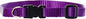 LupinePet Basics 1/2" Purple 10-16" Adjustable Collar by LupinePet