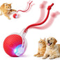 Interactive Electric Automatic Rolling Moving USB Rechargeable Self Activated by Unknown