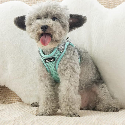 AIITLE Step in Dog Harness and Leash Set - Image 9
