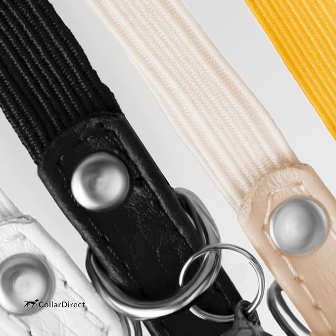 CollarDirect Leather Cat Collar, Kitten Collar - Image 6