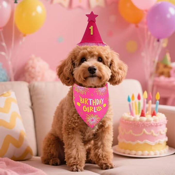 Dog Birthday Bandana Set Rose Pink, Dog Birthday Party Supplies - Image 7
