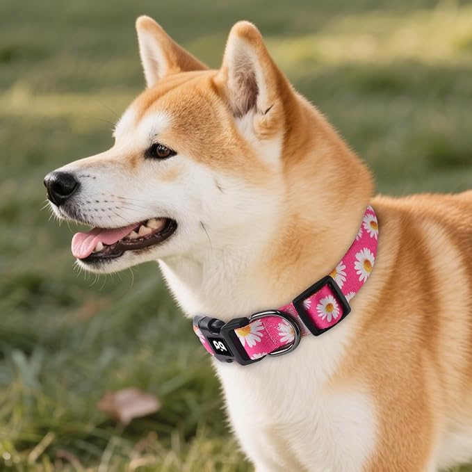 QQPETS Adjustable Soft Dog Collar: Print Flower Pink Multicolor Cute Patterns - Image 2