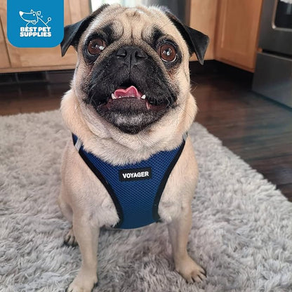 Best Pet Supplies - Image 10