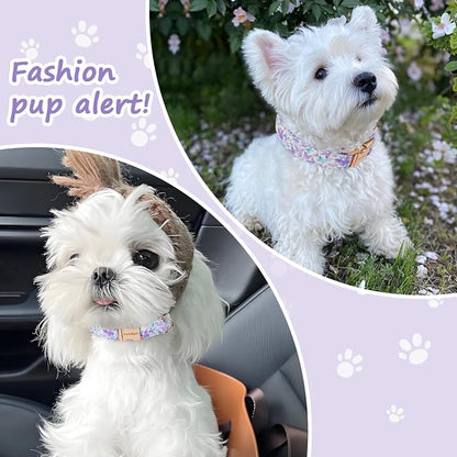 Elegant Butterfly Dog Collar, Adjustable Comfortable - Image 3