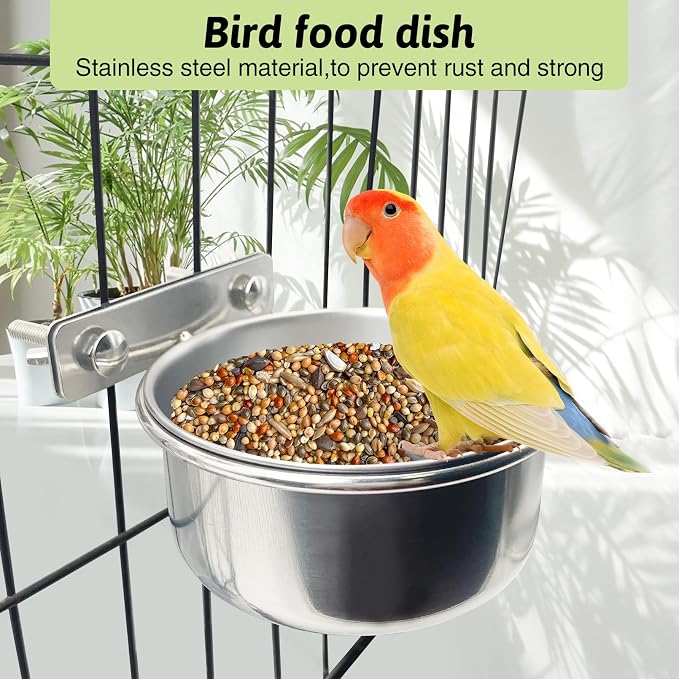 Tfwadmx 4 Pcs Stainless Steel Bird Bowls - Image 4