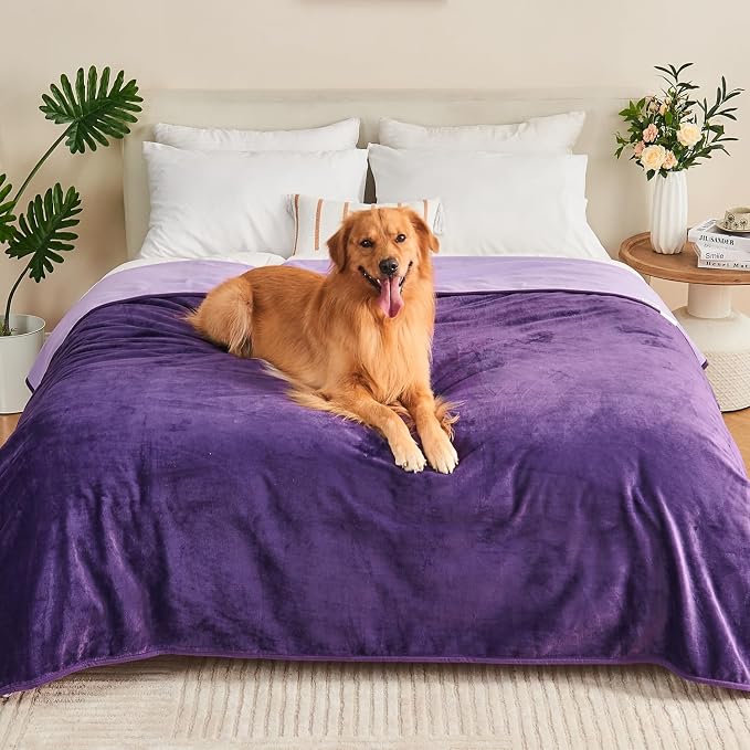 Waterproof Blanket 60"x80" for Adults, Reversible Waterproof Bed Cover for Dogs by Yaning