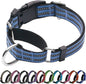 Martingale Dog Collar, Adjustable Nylon Reflective Collar by JOYEEIIOO