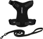 Voyager Escape-Proof Step-in Lock Cat Harness & 5ft Neoprene-Handle Leash Set by BestPetSuppliesLLC