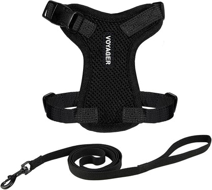 Voyager Escape-Proof Step-in Lock Cat Harness & 5ft Neoprene-Handle Leash Set by BestPetSuppliesLLC