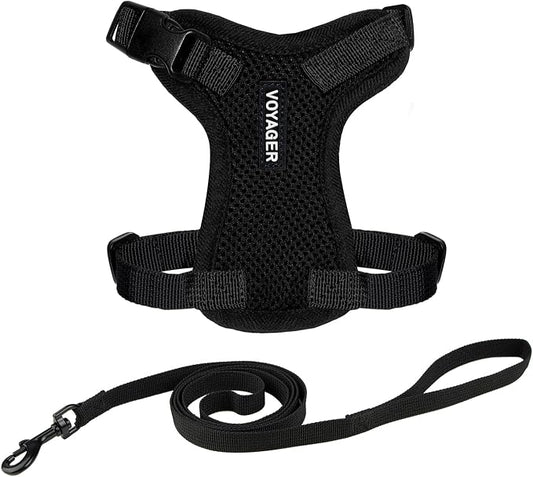 Voyager Escape-Proof Step-in Lock Cat Harness & 5ft Neoprene-Handle Leash Set by BestPetSuppliesLLC