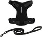 Voyager Escape-Proof Step-in Lock Cat Harness & 5ft Neoprene-Handle Leash Set by BestPetSuppliesLLC