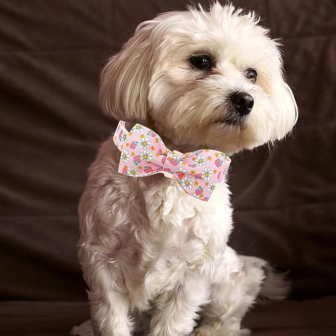 Lionheart glory Dog Collar Bow Collar Pink Dog Collar - Image 6