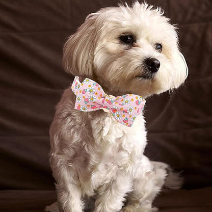 Lionheart glory Dog Collar Bow Collar Pink Dog Collar - Image 4