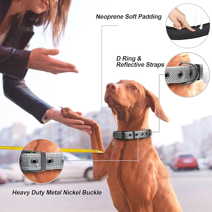 PetiFine Dog Collars for Small Dogs, Neoprene Padded Dog Collar, Reflective - Image 2