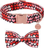 Valentine’s Day Dog Collar by UPURARAPUP