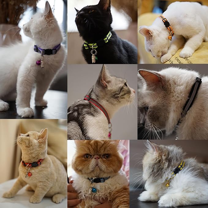 12 Pack Reflective-Breakaway Cat Collars - Image 7