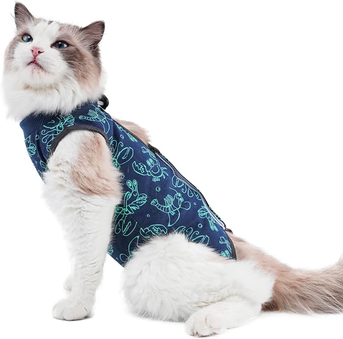 Cat Surgery Recovery Suit Onesie by kzrfojy