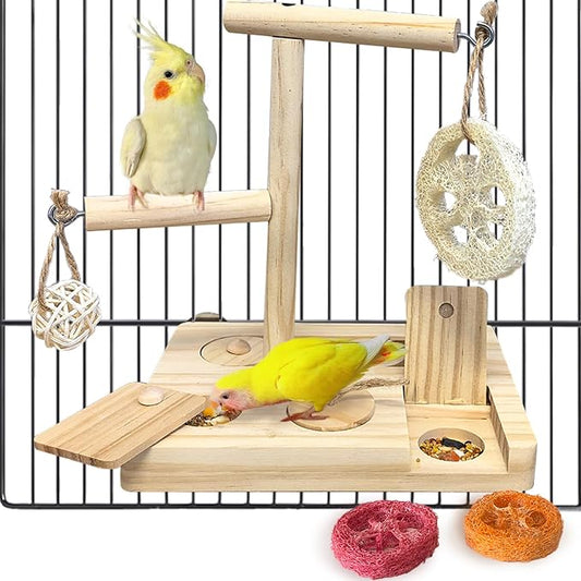 Bird Foraging Toys Parrot Enrichment Puzzle Toy Bird Playground Exploring by Hamiledyi