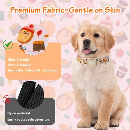 Fall Woodland Dog Collar, Playful Squirrel & Pumpkin Print on White Collar - Image 4