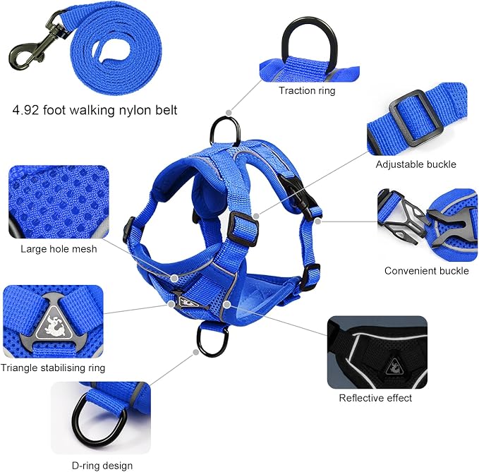 Large Cat Harness and Leash Set - Image 2