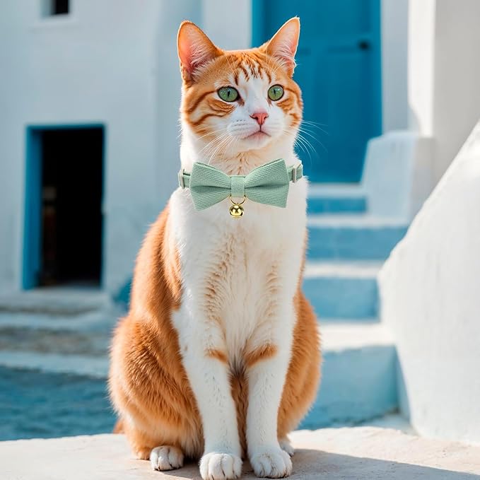 Cotton Breakaway Cat Collar - Image 7