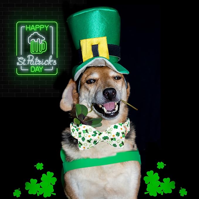 Lionheart glory Dog Bow Collar St. Patrick's Day Dog Collar - Image 5