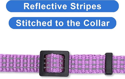 Pawtitas Reflective Purple Cat Collar - Image 4