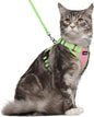rabbitgoo Cat Harness and Leash Set, Escape Proof Soft Adjustable Vest Harnesses by rabbitgoo