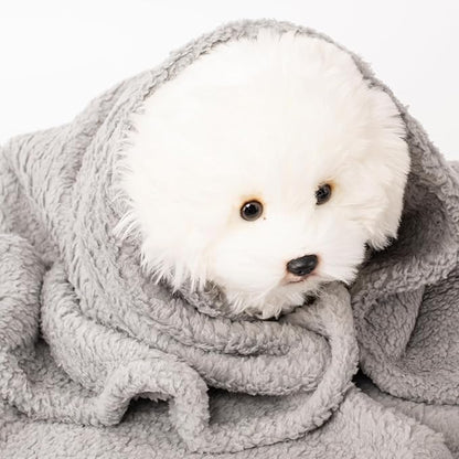 2 Blankets, Dog Cat Pet Blanket, Soft Warm Fleece, - Image 7