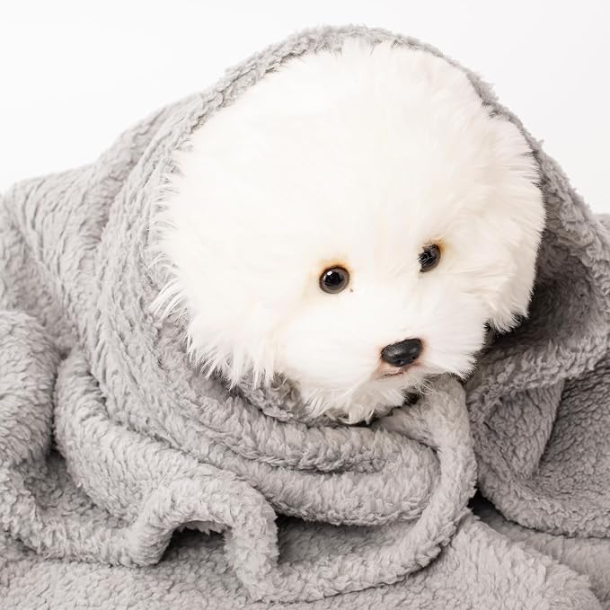 3 Blankets, Dog Cat Pet Blanket, Soft Warm Fleece, - Image 8