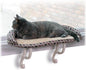 K&H Pet Products Bolster Kitty Sill Cat Window Perch Bed by KHPetProducts