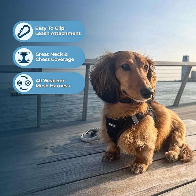 Best Pet Supplies - Image 3