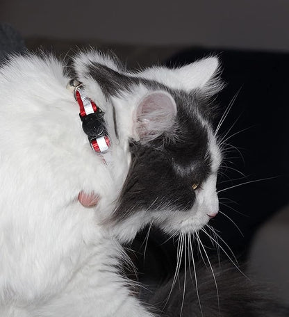 Reflective Cat Collar with AirTag Holders, with Bells, Solid & Safe Collars - Image 6