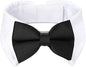 Segarty Bow Tie Cat Collar for Neck Girth 8.8-10.5 in, Tux Puppies Dog Bowtie by Segarty