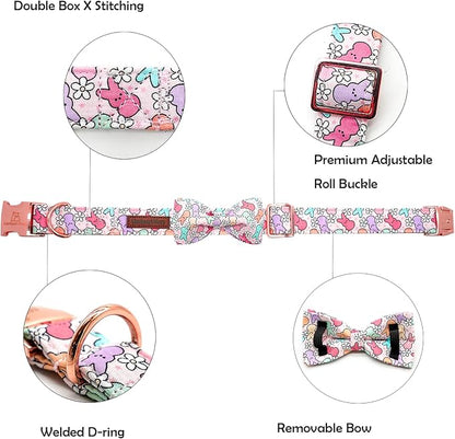 Lionheart Glory Easter Day Dog Collar - Image 2