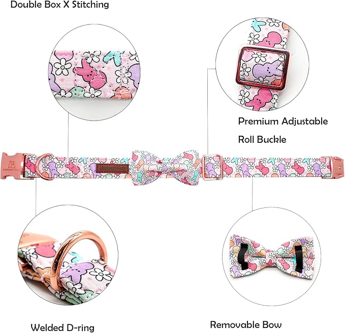 Lionheart Glory X-Small Dog & Rabbit Collar - Image 2