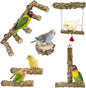BNOSDM Natural Wood Bird Ladder Perch 6Pcs Parrot Stand Branches Climbing by BNOSDM