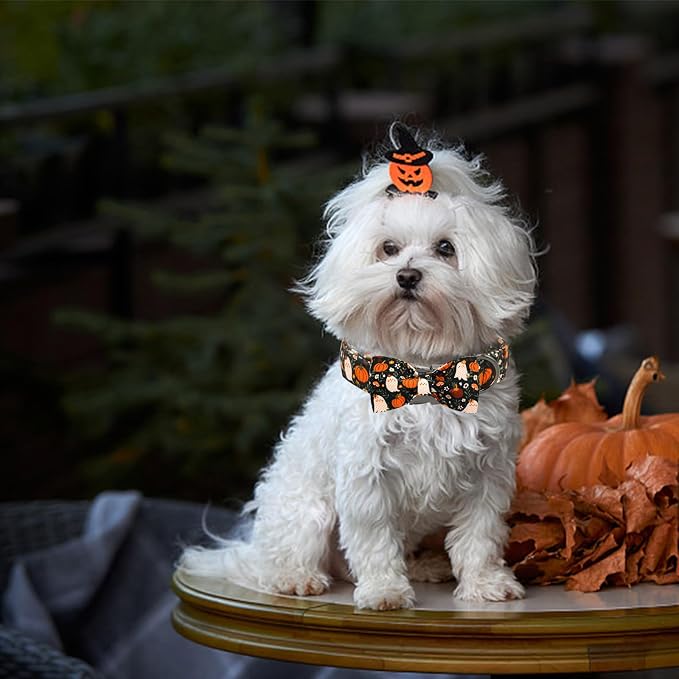 Halloween Dog Collar, Ghost Print Adjustable Pet Collar Fall Pumpkin Cute - Image 5