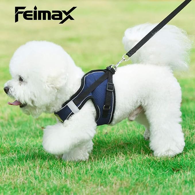 FEimaX Dog & Cat Harness Set, No Pull, Reflective, Adjustable, Soft Mesh - Image 4