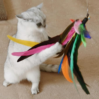 Da Bird Feather Refill - Image 3