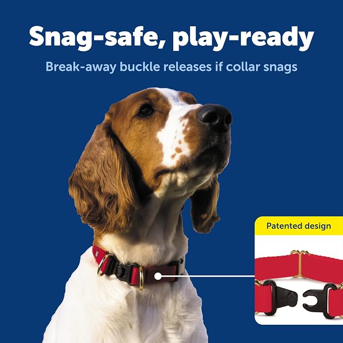 PetSafe KeepSafe Break-Away Safety Collar - Image 3